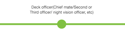 Deck officer(Chief mate/Second or Third officer/ night vision officer, etc)